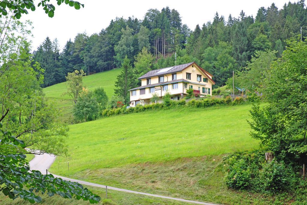 Sonnmatt Bergpension & Gesundheitszentrum Ebnat-Kappel Екстер'єр фото